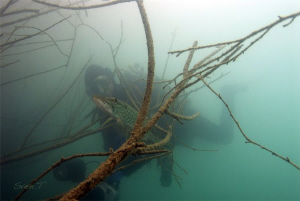 Low viz dive, yet a great dive! At the end pikes and 3 we... by Sven Tramaux 